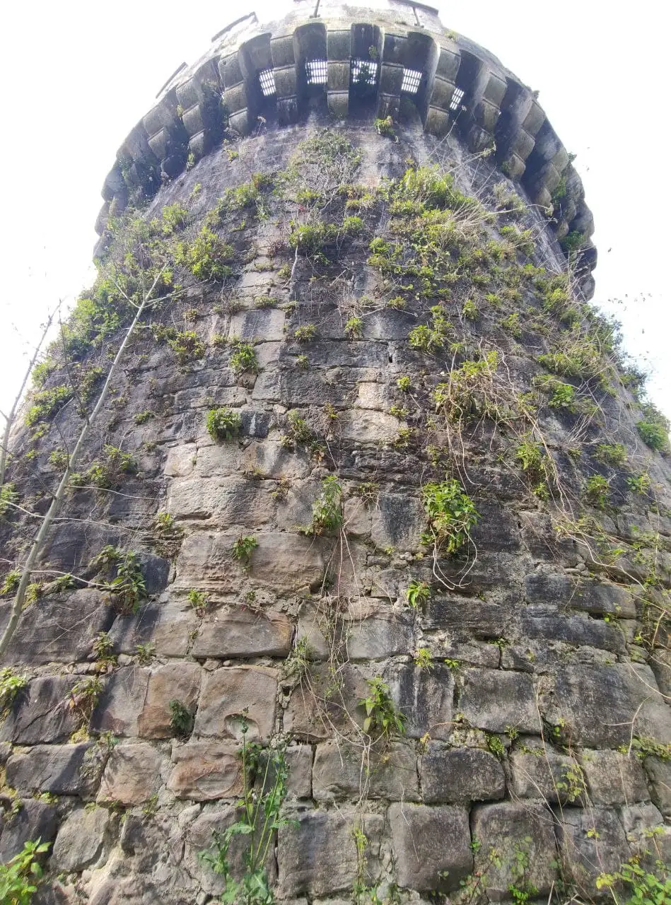 Remate almenado de una torre redonda del castillo de Butrón, cubierta de vegetación.