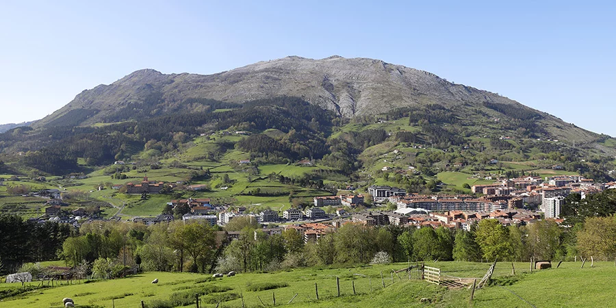 LOIOLA