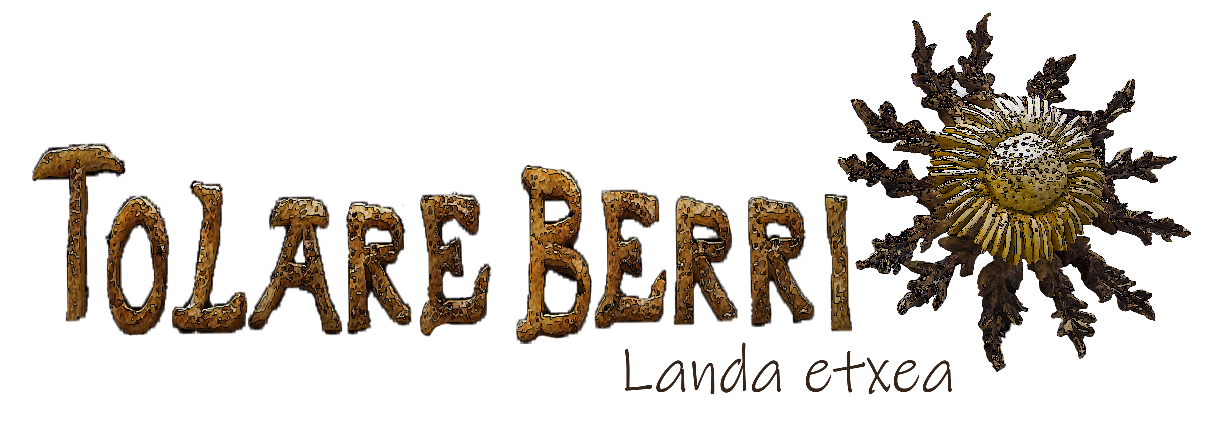 TOLARE BERRI