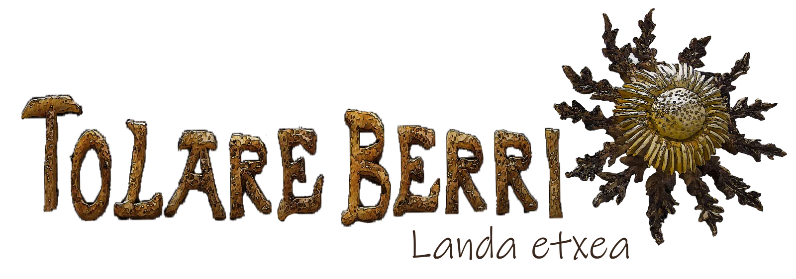 TOLARE BERRI