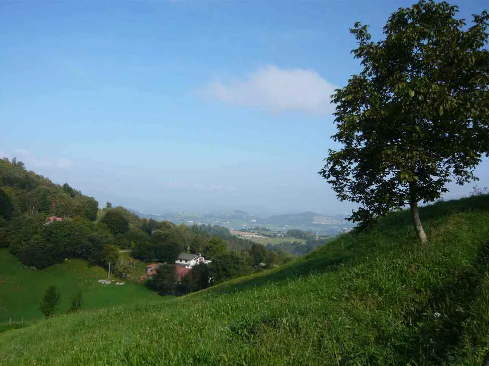 MONTEFRIO