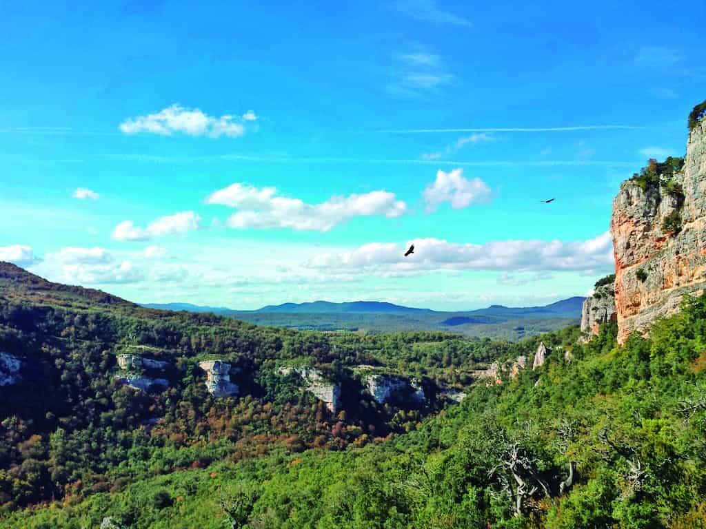 LARRETXORI