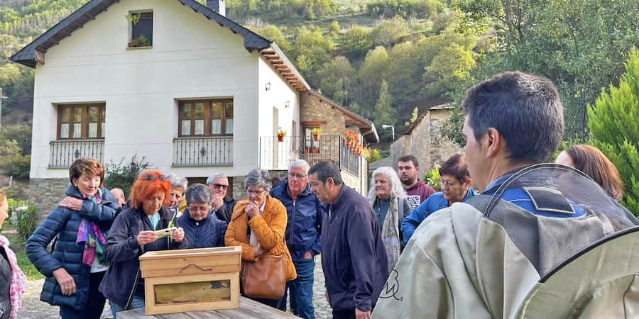 ZEARRETA BARRI