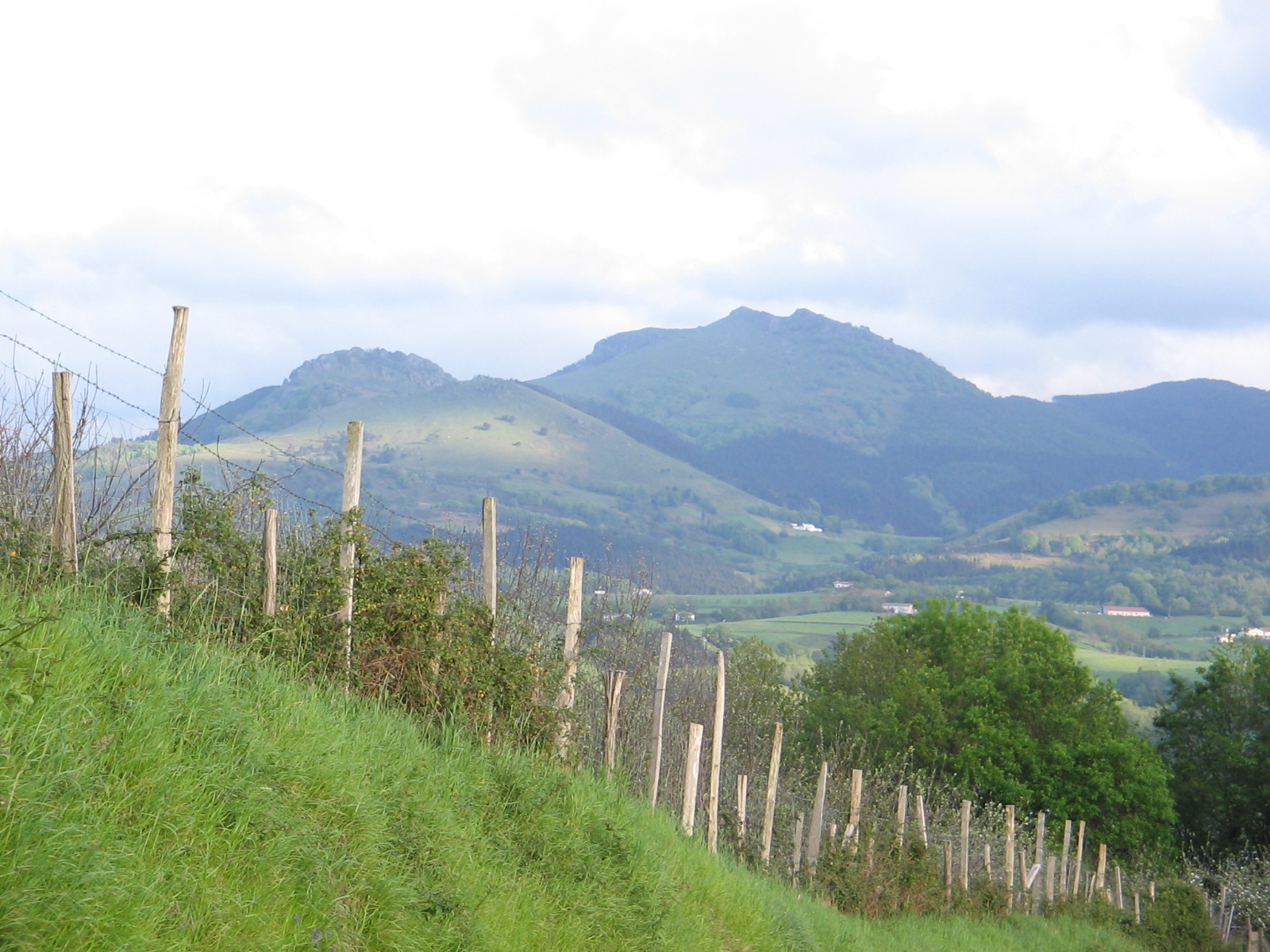 PAGOEDERRAGA