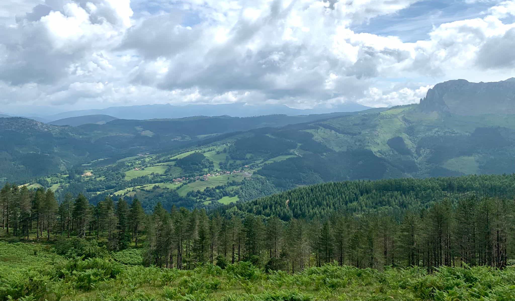 ORAINDI