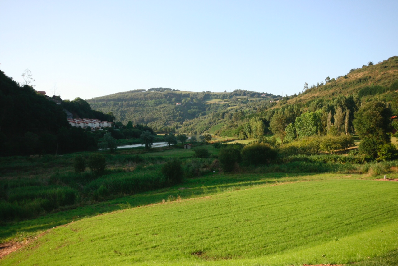 CASERIO BUTRON