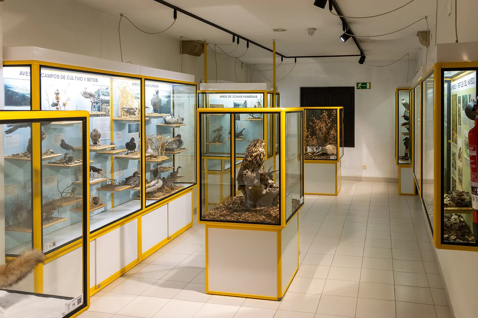 Museo de Ciencias Naturales de Álava