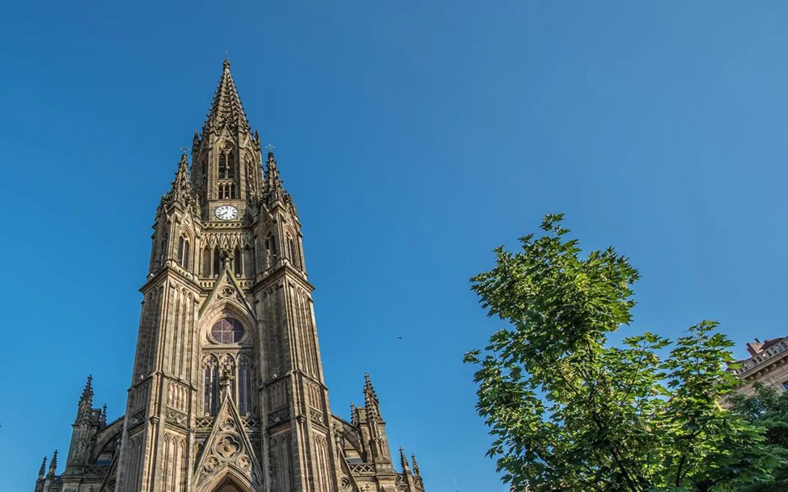Catedral del Buen Pastor