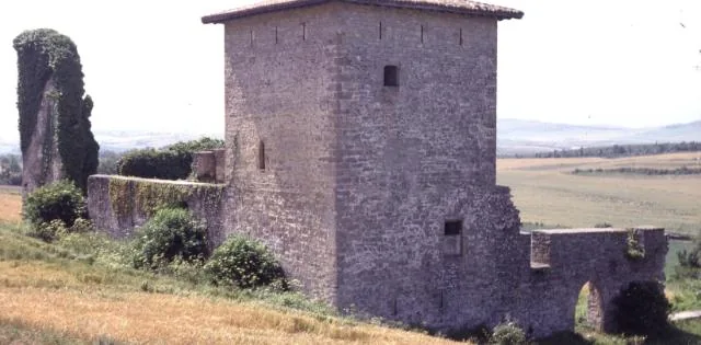 Torre y Palacio de Guevara
