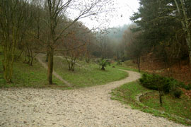Parque de Sagastigutia