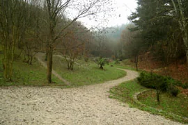 Parque de Sagastigutia