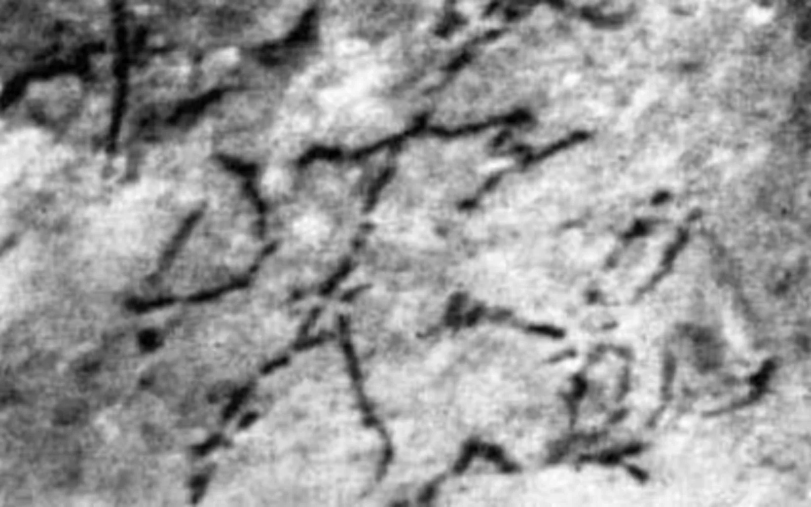 Solacueva de Lacozmonte