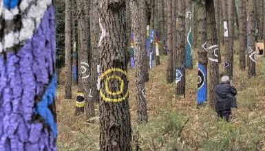 Bosque de Oma en Kortezubi — oficial (1 de 7)