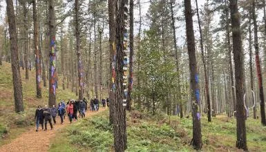 Bosque de Oma en Kortezubi — oficial (2 de 7)