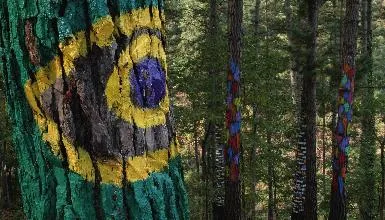 Bosque de Oma en Kortezubi — oficial (3 de 7)