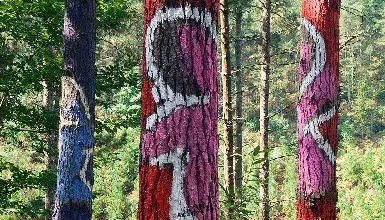 Bosque de Oma en Kortezubi — oficial (5 de 7)