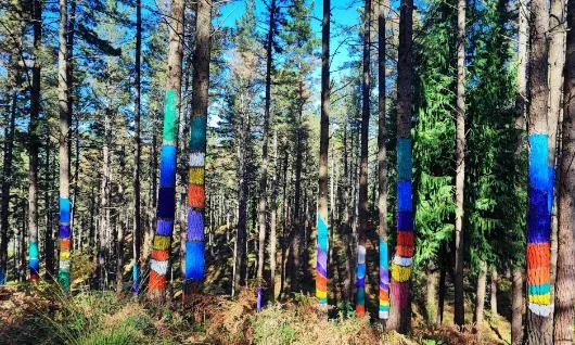 Bosque de Oma en Kortezubi — oficial (6 de 7)