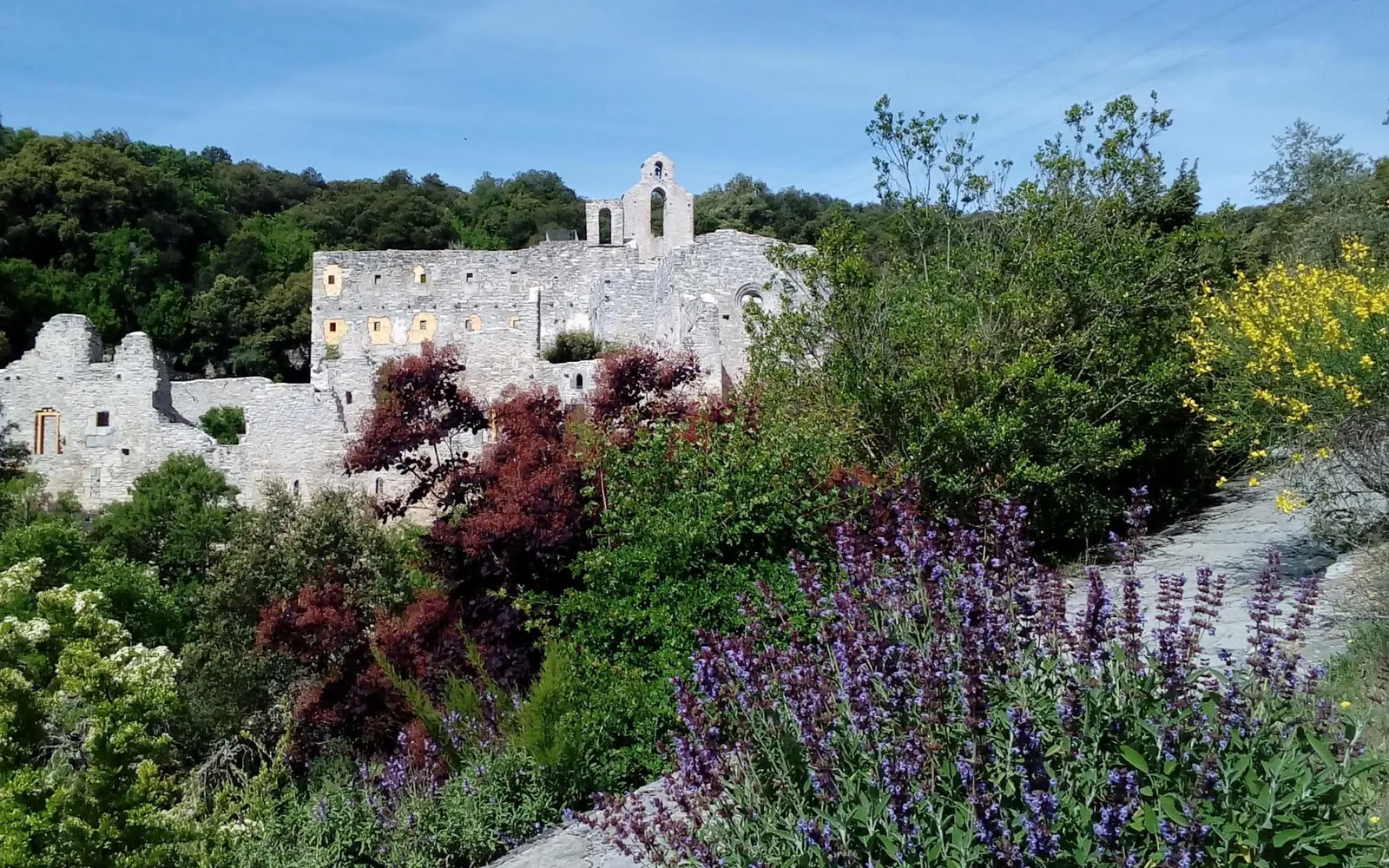 Jardín Botánico de Santa Catalina
