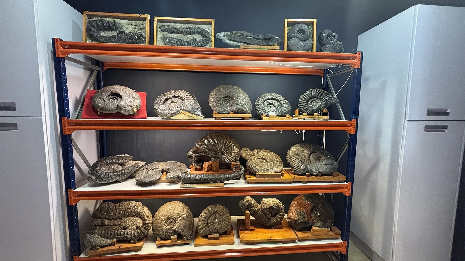 Nautilus, Centro de Interpretación Geológica de Mutriku