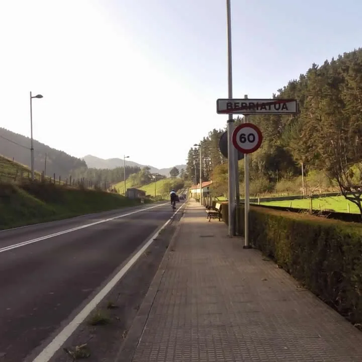 Berriatua