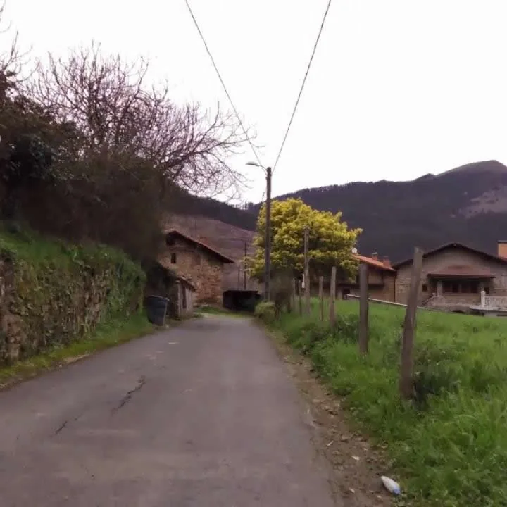 Arakaldo: Madariaga