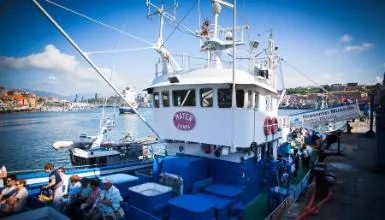Errenteria-Lezo-Oiartzun-Pasaia: A un paso de San Sebastián