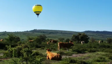 Vuelo en globo por el Nacimiento del Nervión en Ayala/Aiara — oficial (7 de 9)