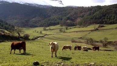 Valle de Ayala