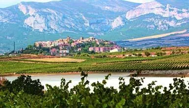 Visita a las bodegas de la Rioja Alavesa