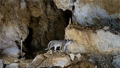 Espeleólogo por un día en las cuevas de Arrikrutz en Oñati
