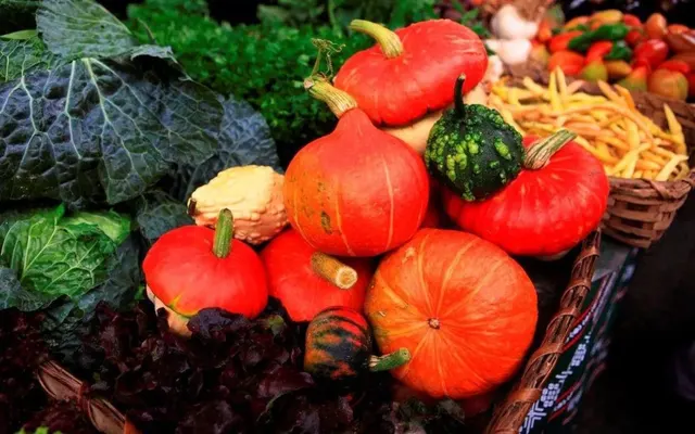 Visita al Mercado de Ordizia con taller gastronómico