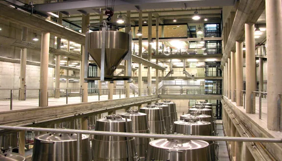 Arquitectura y Vino en Rioja Alavesa, cata en bodega Baigorri en Samaniego — oficial (2 de 2)