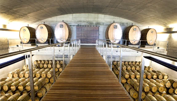 Arquitectura y Vino en Rioja Alavesa, cata en bodega Baigorri