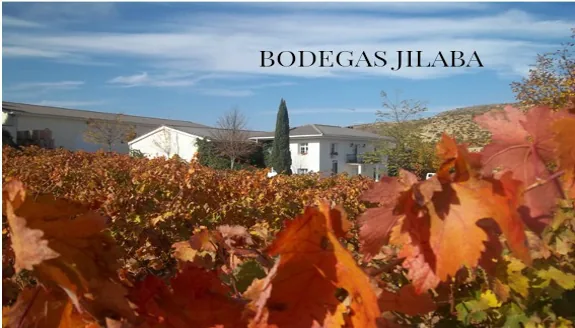 Bodegas Jilaba. Vino y rosas Luxury en Lapuebla de Labarca — oficial (2 de 4)