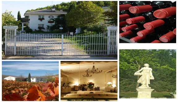 Bodegas Jilaba. Vino y rosas Luxury en Lapuebla de Labarca — oficial (4 de 4)