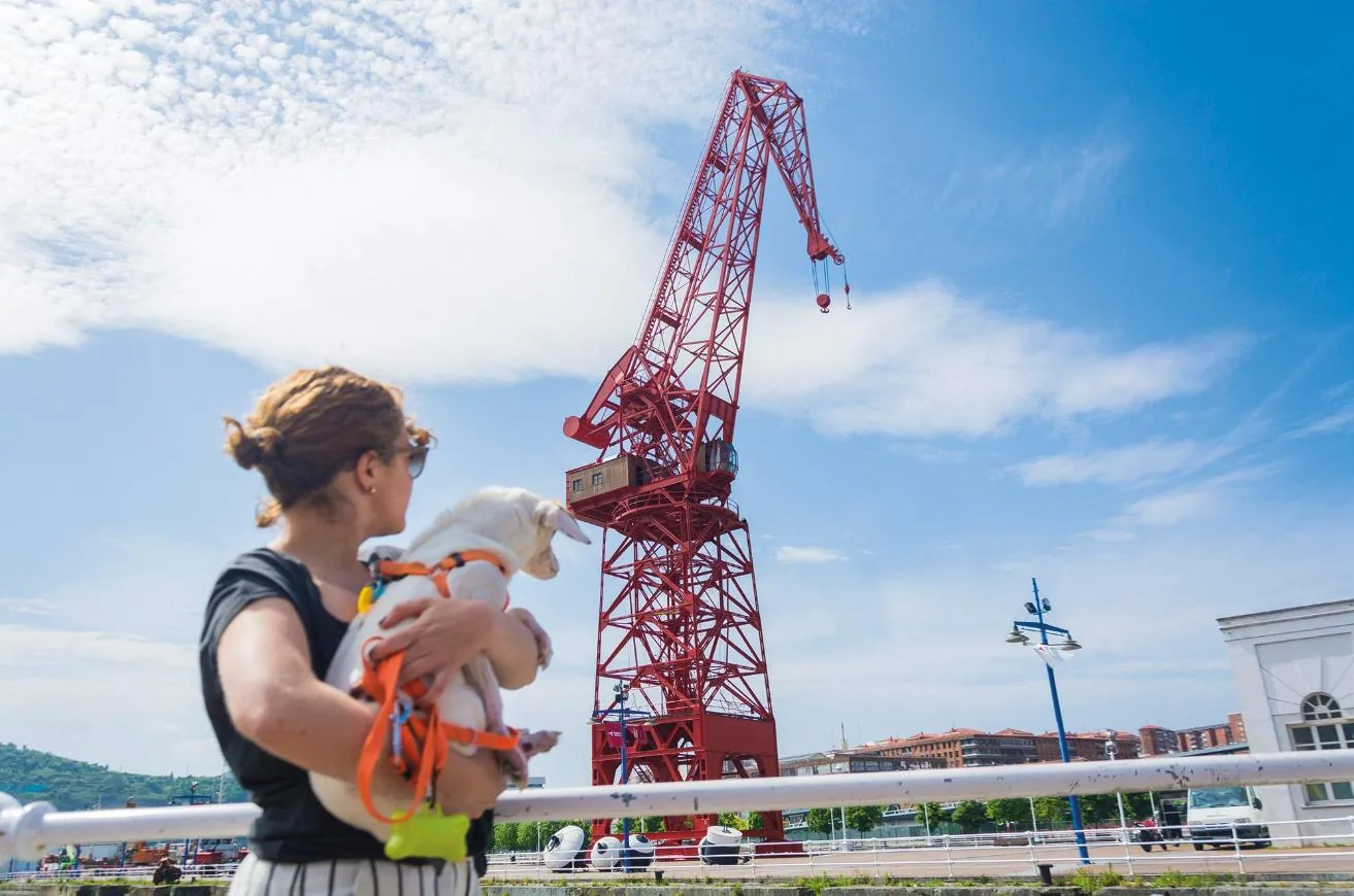 Un paseo por la Ría de Bilbao con perro