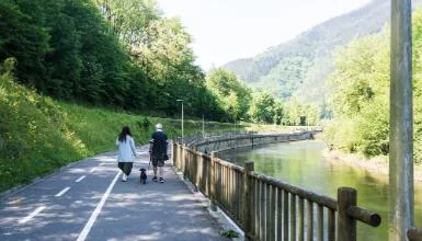 Vía Verde del Urola con perro en Azpeitia — oficial