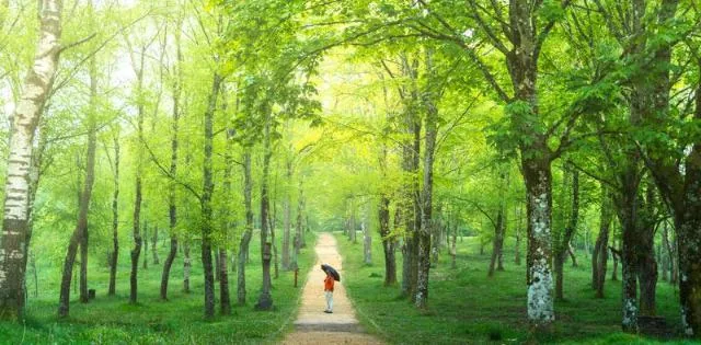 Alrededor del Parque Natural de Urkiola