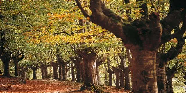 Dos parques naturales en Abadiño — oficial (3 de 5)
