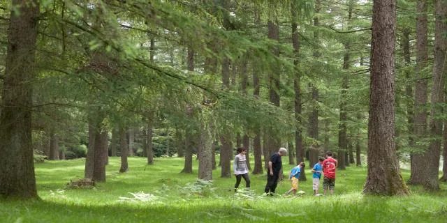 Dos parques naturales en Abadiño — oficial (5 de 5)
