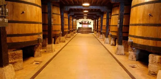 Naturaleza y vino en Rioja Alavesa