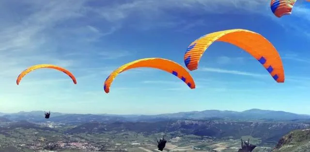 Aiaraldea a vista de pájaro