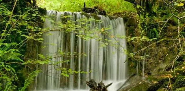 Ruta por el sendero del Lea