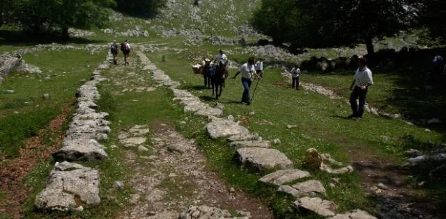 Mi fiel compañero, trekking con burros