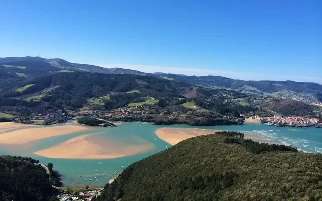 Visita guiada a las marismas de Urdaibai