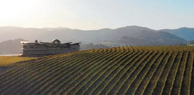 Hika Bodega