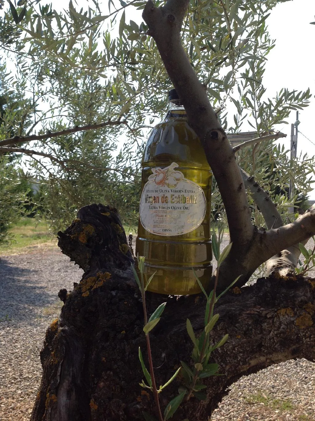 Trujal Almazara de la Rioja Alavesa
