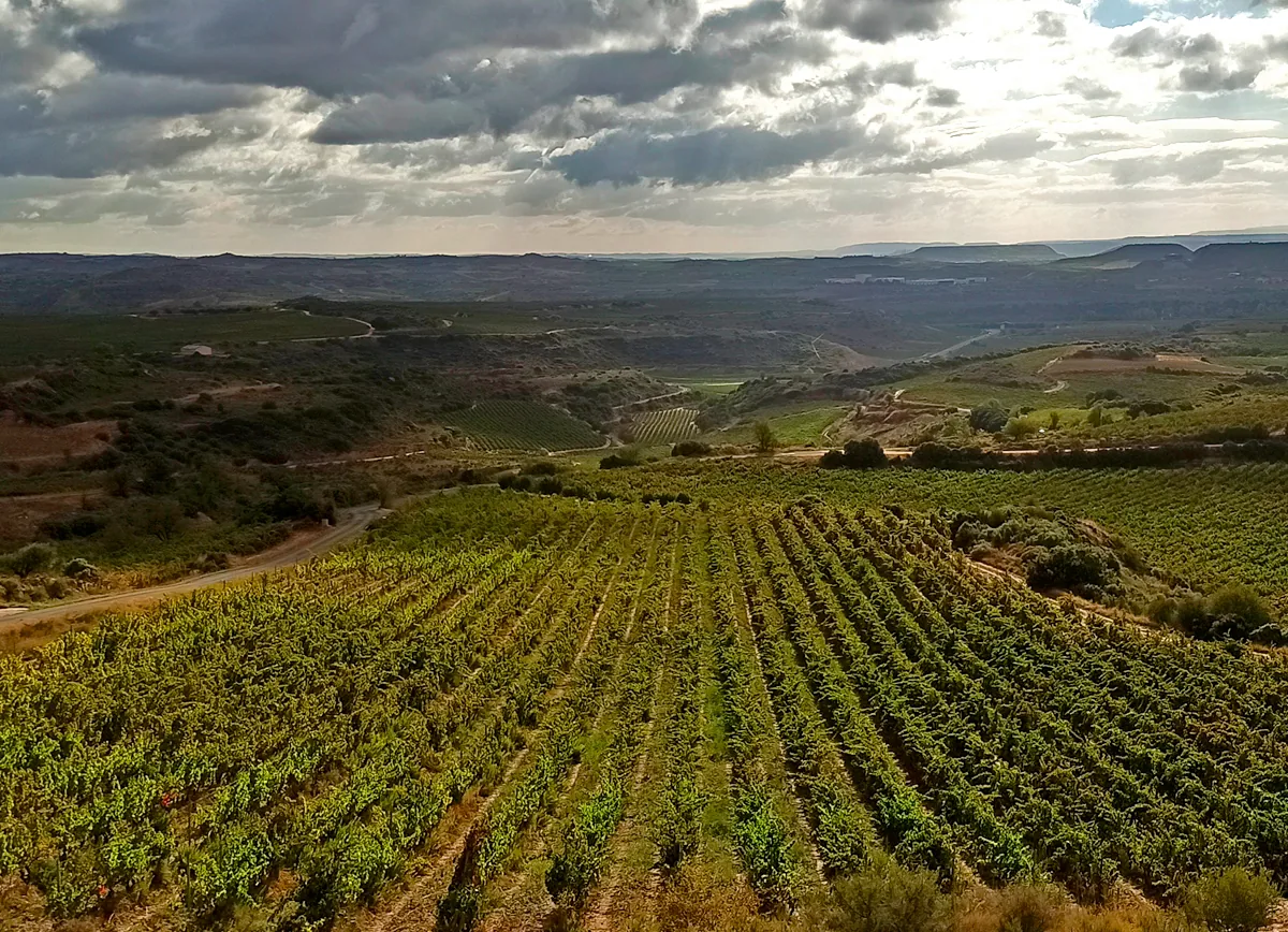 Ruiz de Viñaspre