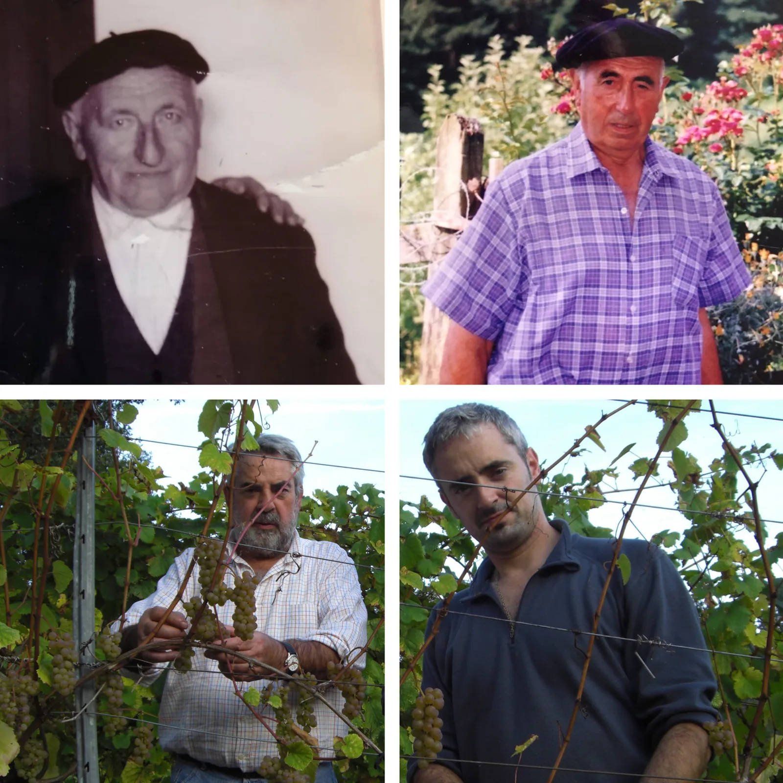 Txakoli Garate