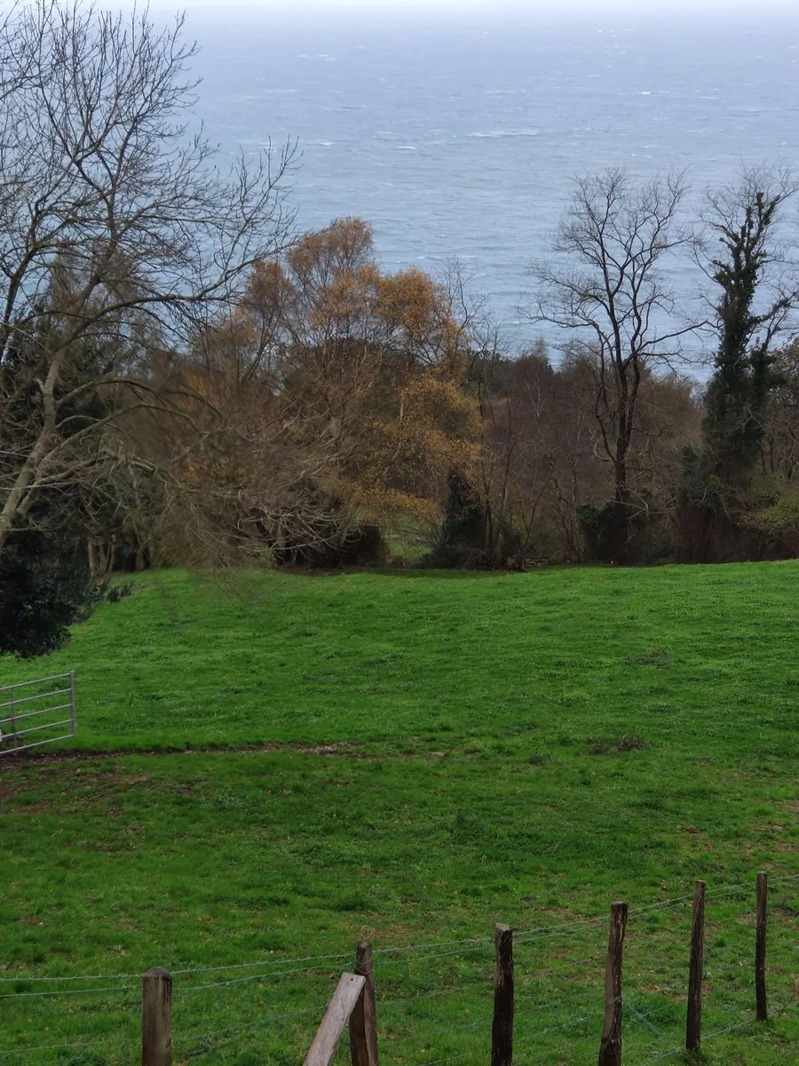 Bosque de Arritxulo